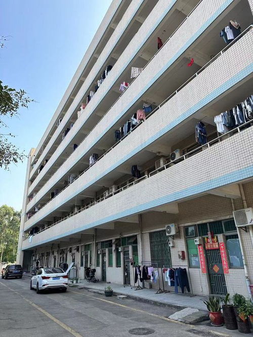 深圳寶安區(qū)一工廠四萬(wàn)多平的工業(yè)房產(chǎn)第二次拍賣(mài),1.4386億就成交