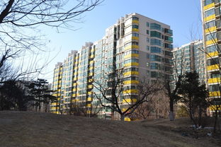 華紡易城租房,2400元 月,急租朝陽大悅城 青年路地鐵口 十里堡附近華紡易城精裝大臥陽臺(tái) 北京租房 推推99北京房產(chǎn)網(wǎng)